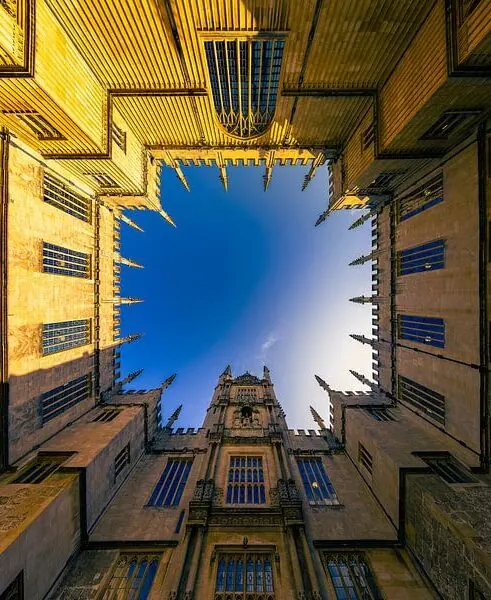 Bod-Libary_2-aspect-ratio-491-600